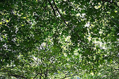 《星际战甲》“Jade之影”大型剧情扩展6月推出