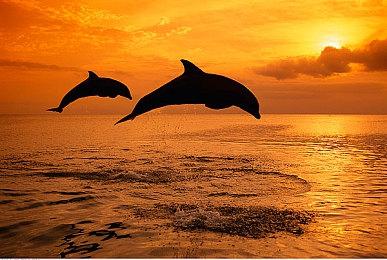 中式重科幻独立FPS《红移点》Steam页面 发售日期待定