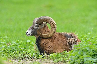 视觉小说《神椿市建设中REGENERATE》明年2＆20推出